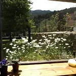 Hostel Xalet-refugi U.e.c. *